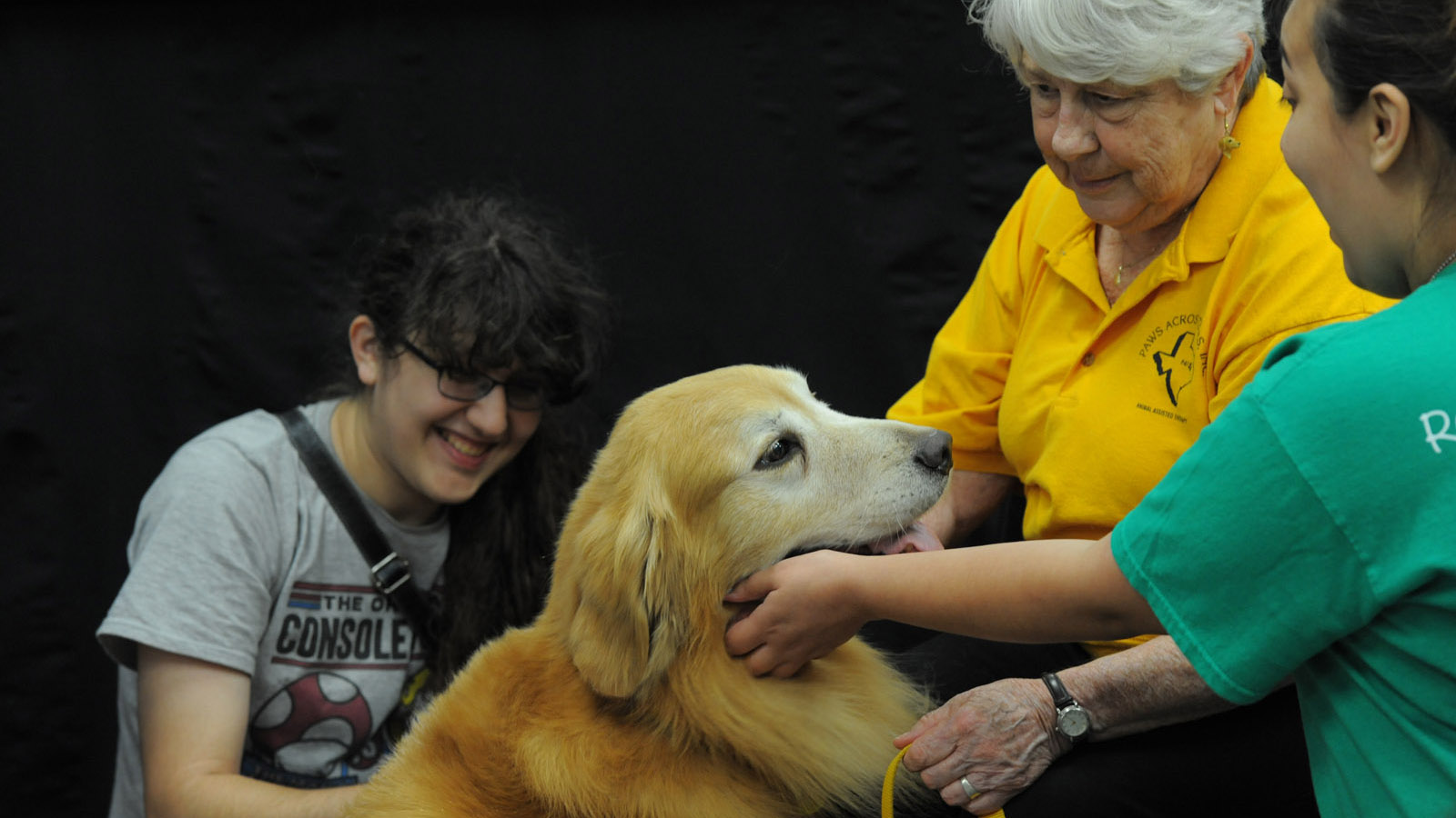 People petting library dog