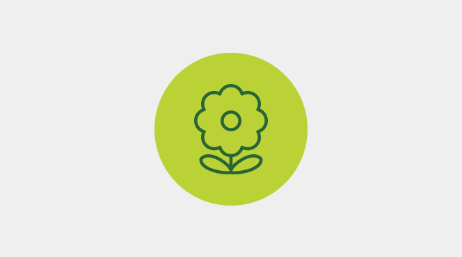 Spring semester logo 