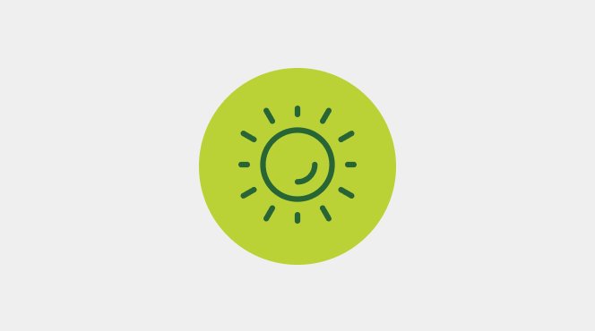 Summer semester logo 